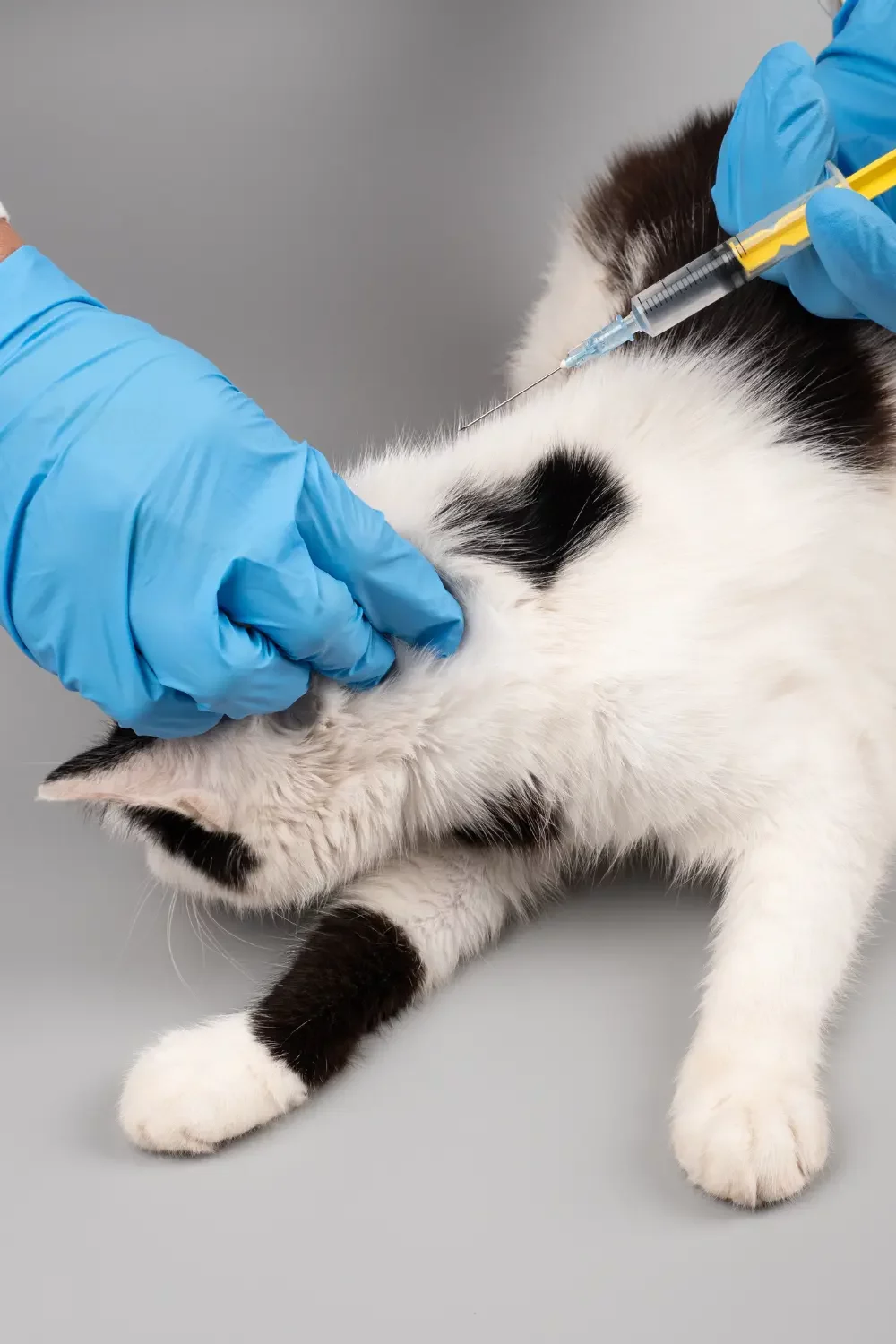 vaccinations-2 vaccinations-2